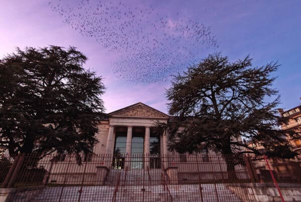 Tribunal judiciaire de Rodez