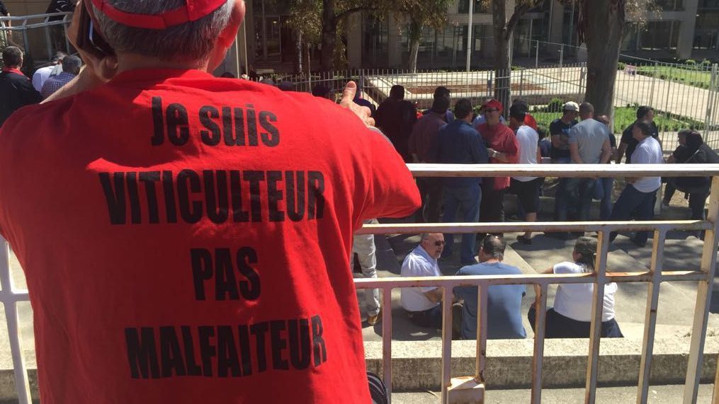 Viticulteurs de l'Hérault et du Gard